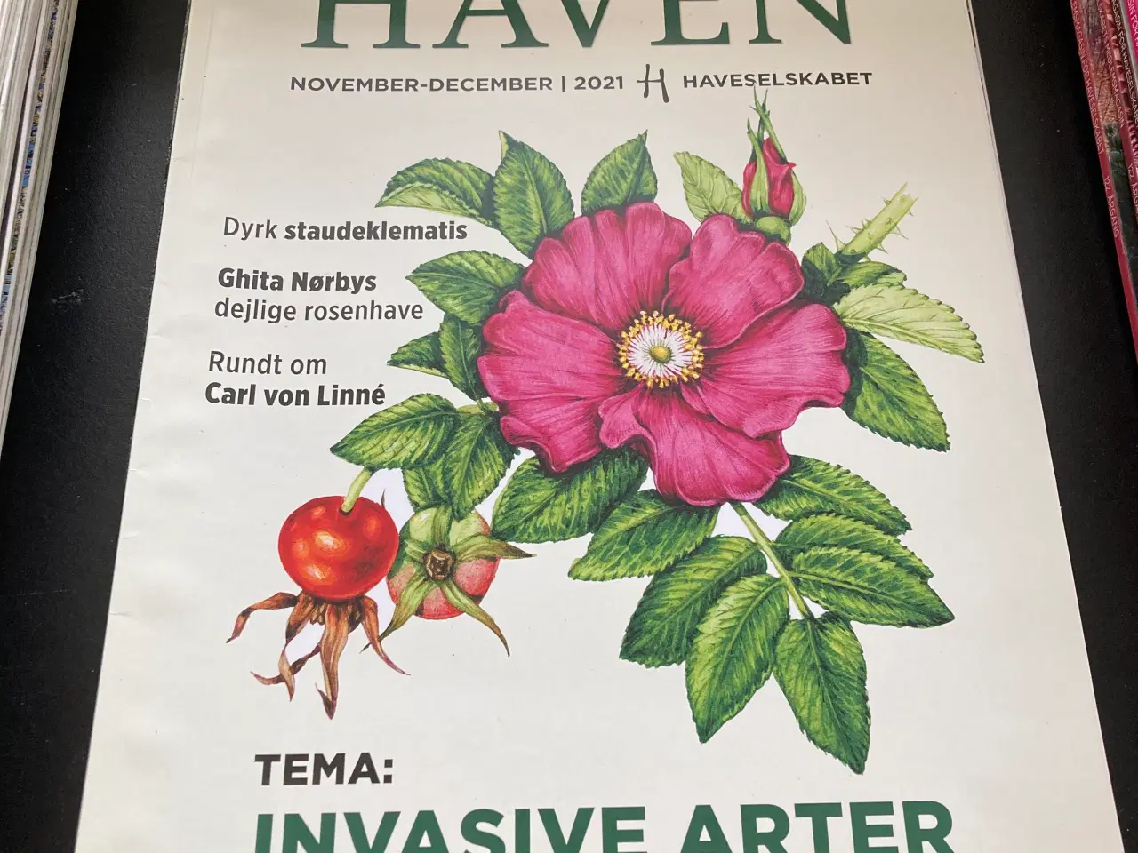 Billede 1 - Haven have blad