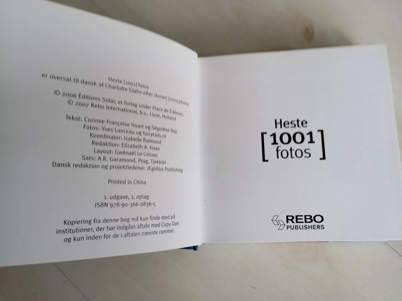 Billede 3 - Heste 1001 Fotos