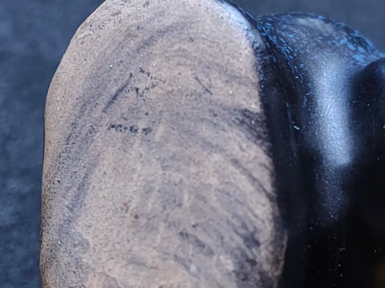 Billede 2 - Lille fin keramik hund