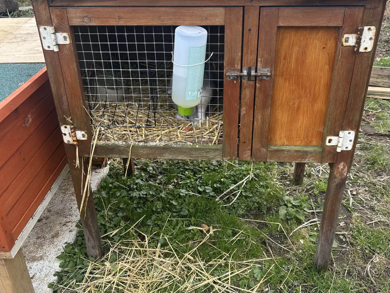 Billede 1 - Kanin bur 