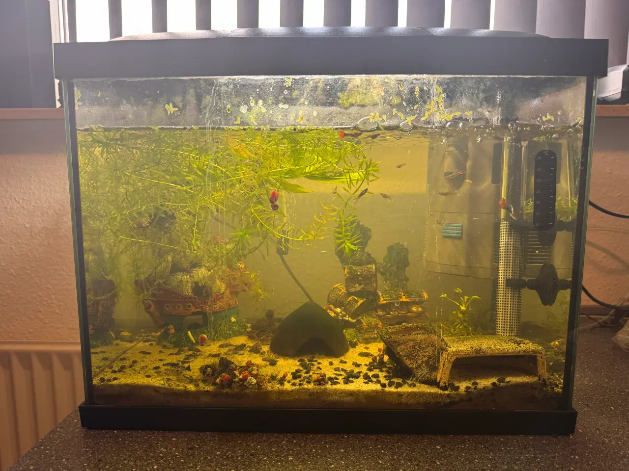 Billede 1 - Akvarium