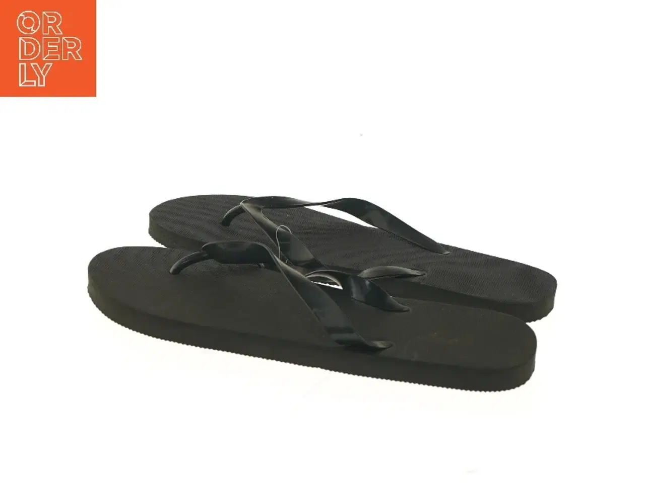 Billede 3 - Sorte klipklappere (str. 43-44 )