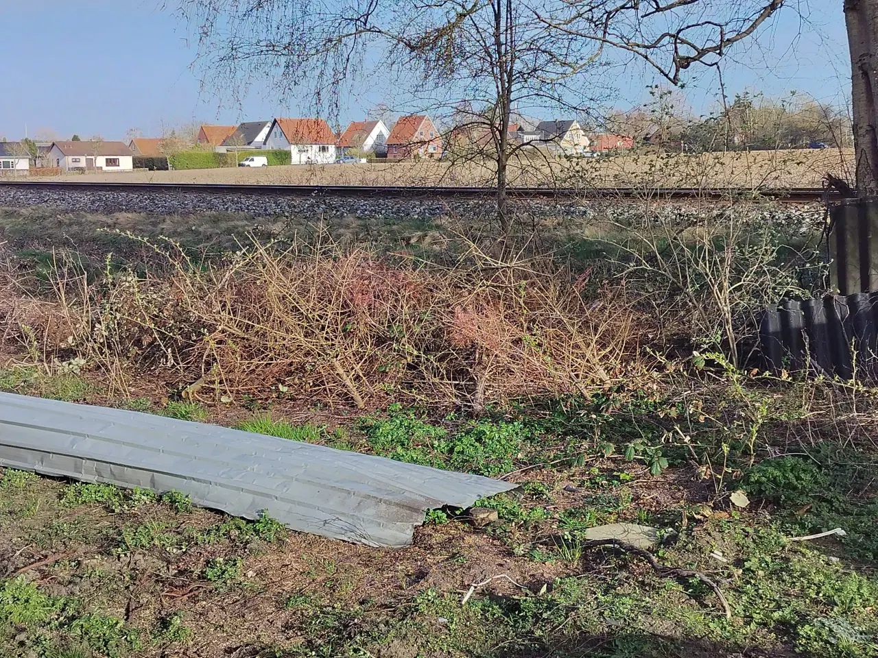 Billede 2 - Havemand søges 