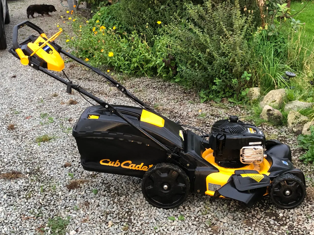 Billede 2 - Cub Cadet, variabel selvkør, opsamler, bio u/opsam