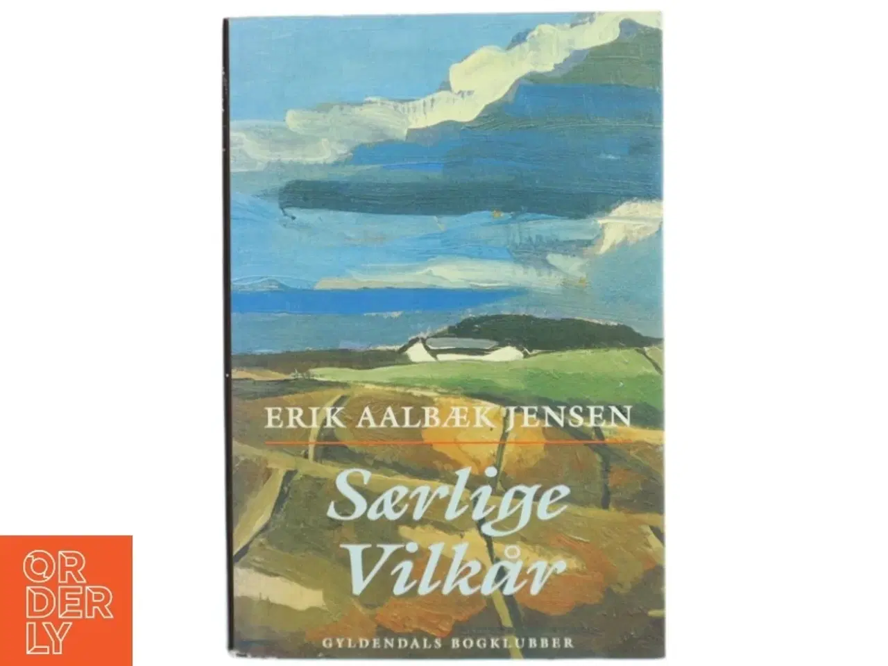 Billede 1 - Særlige vilkår : roman af Erik Aalbæk Jensen (Bog)