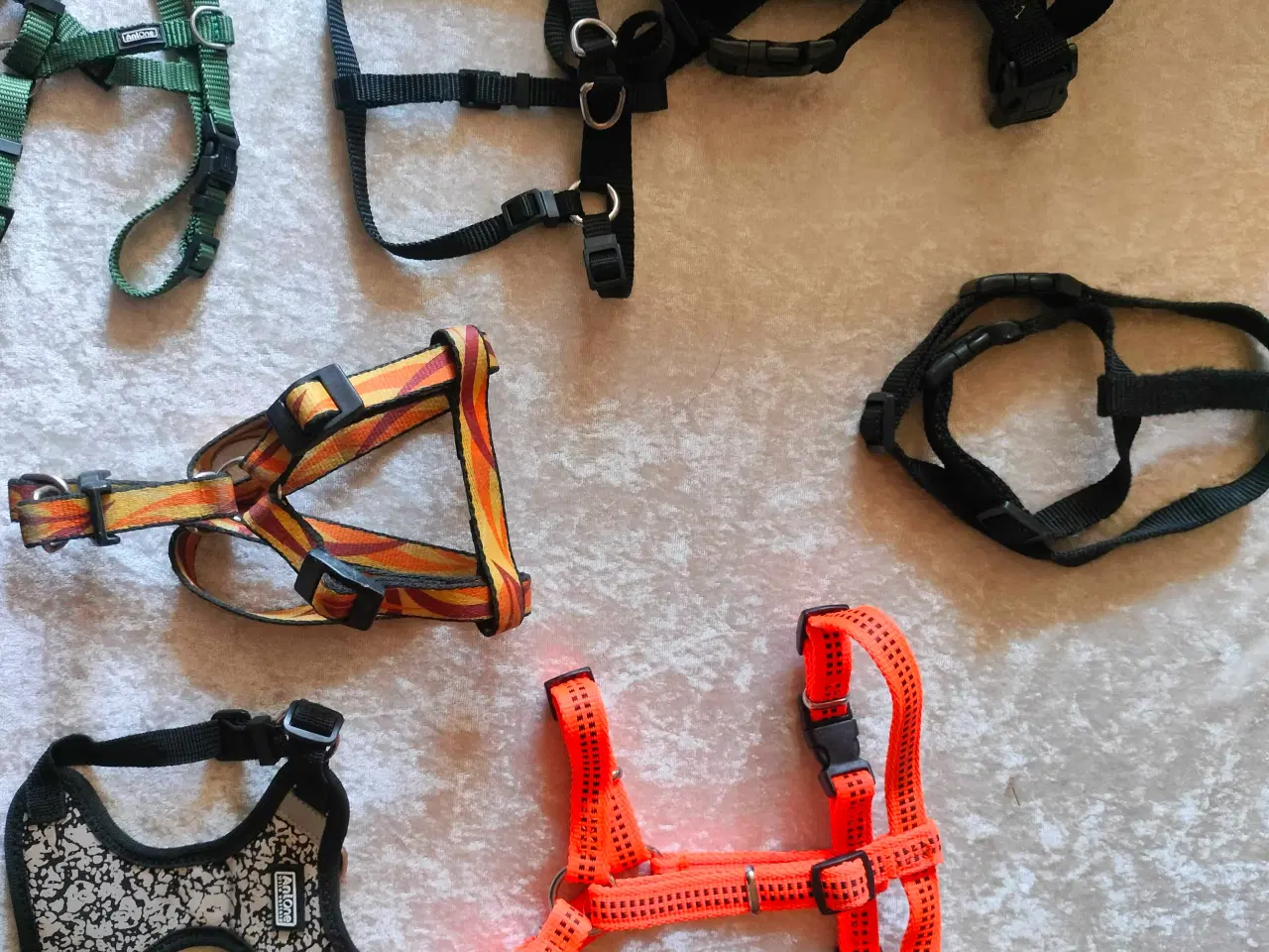 Billede 3 - Hundeseler sælges – Stort udvalg! 🐾