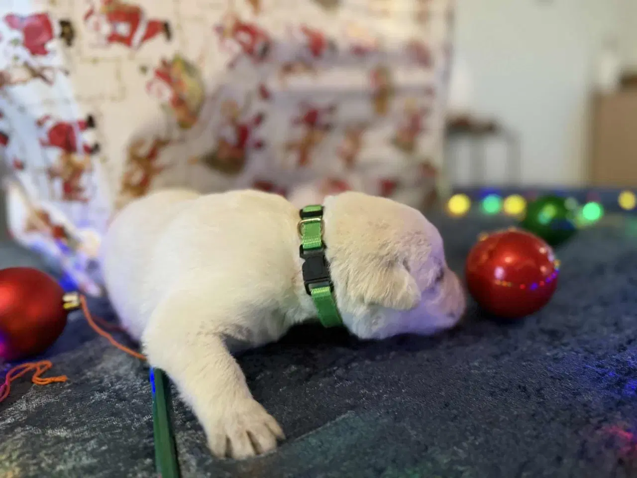 Billede 4 - Skal i have en blød julegave så kig her