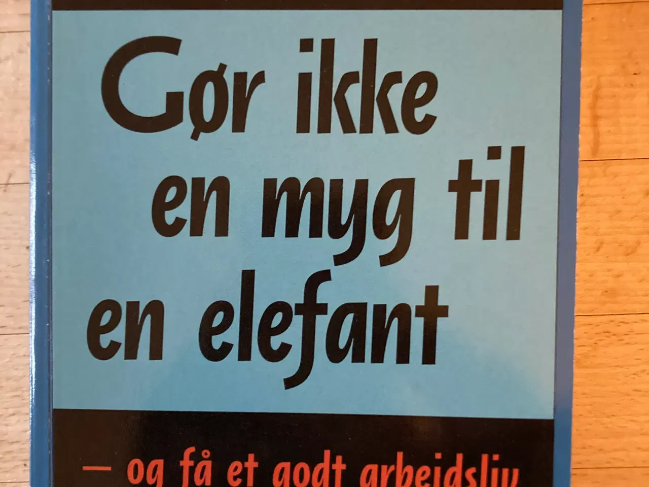 Billede 1 - Gør ikke en myg til en elefant, Richard Carlson