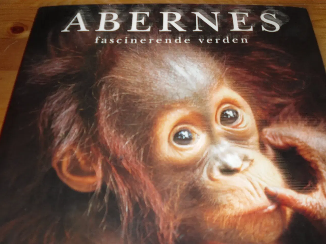 Billede 1 - ABERNES Fascinerende verden.Steve Bloom