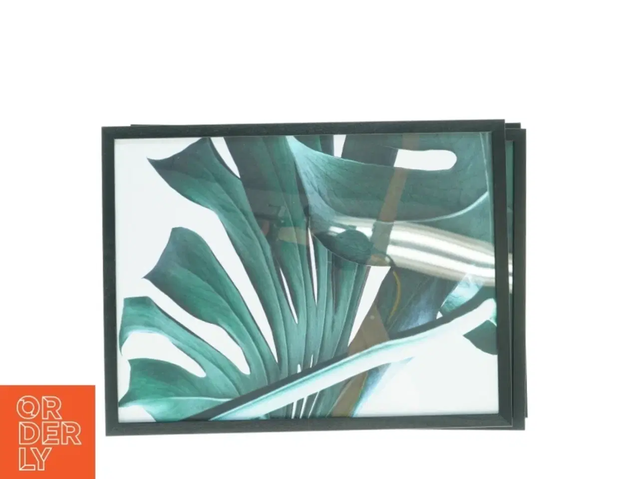 Billede 1 - Sort billedramme med plante motiv, 3 stk (str. 42 x 32 cm)
