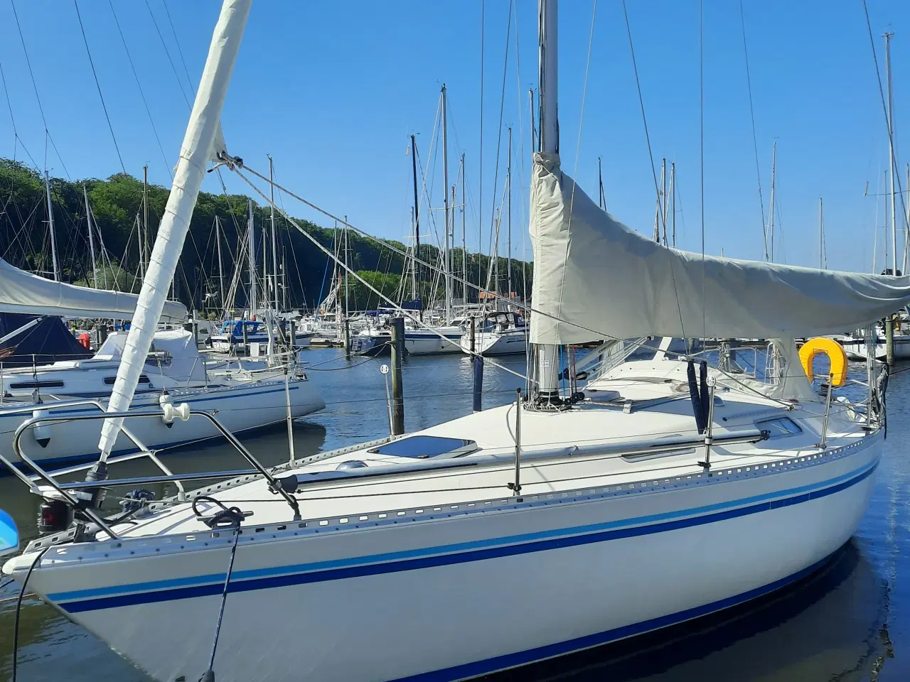 Billede 2 - Comfortina 32 årg. 1986 med Volvo Penta D1-30
