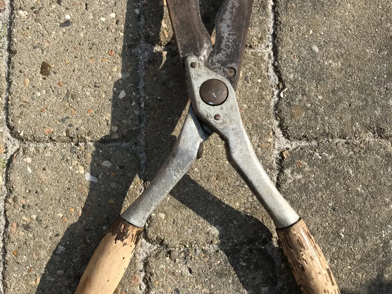 Billede 3 - Hækklipper 