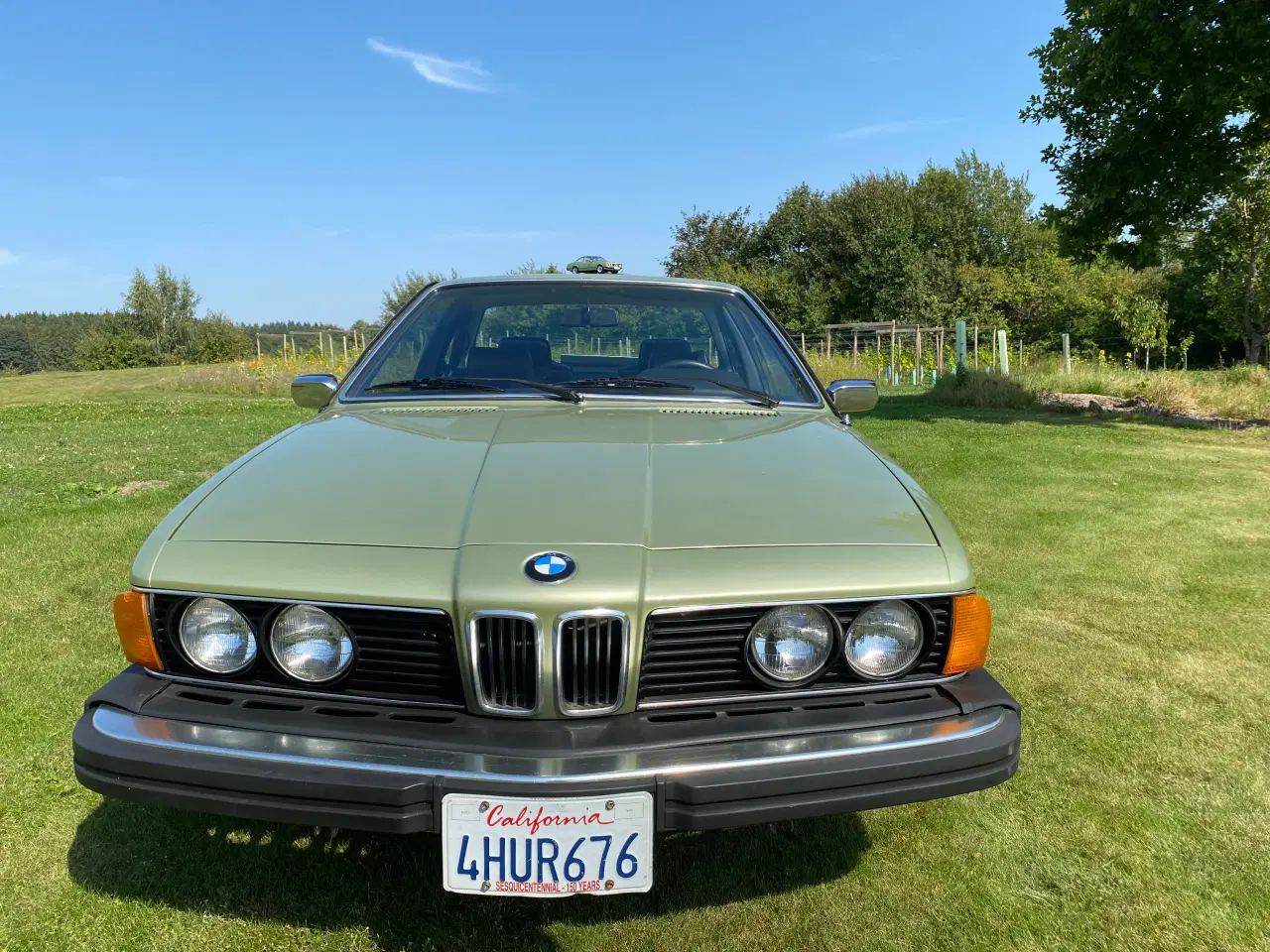 Billede 14 - BMW 630CSi 3,0 Coupé 2d