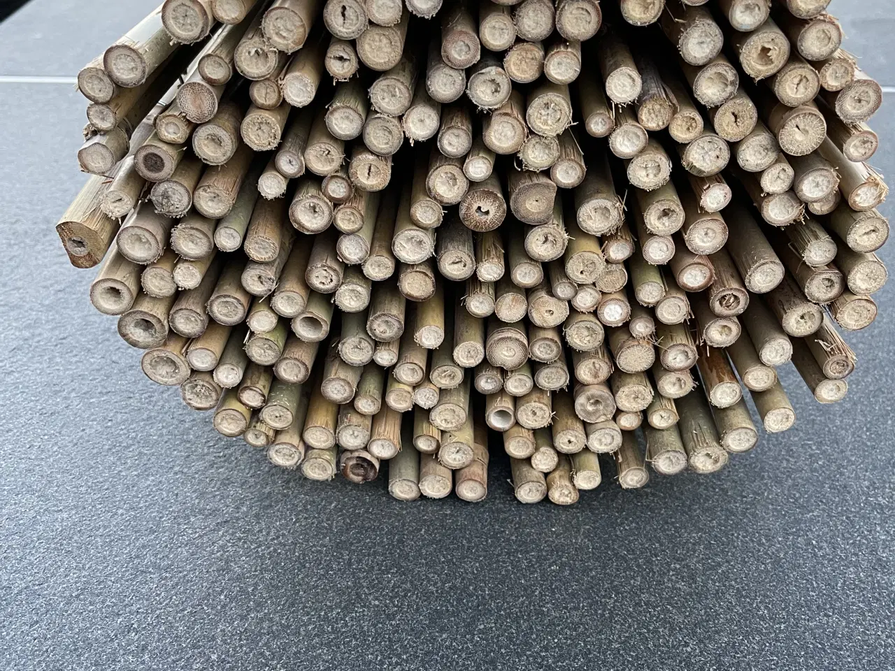 Billede 3 - Bambus hegn 1 x 3 m