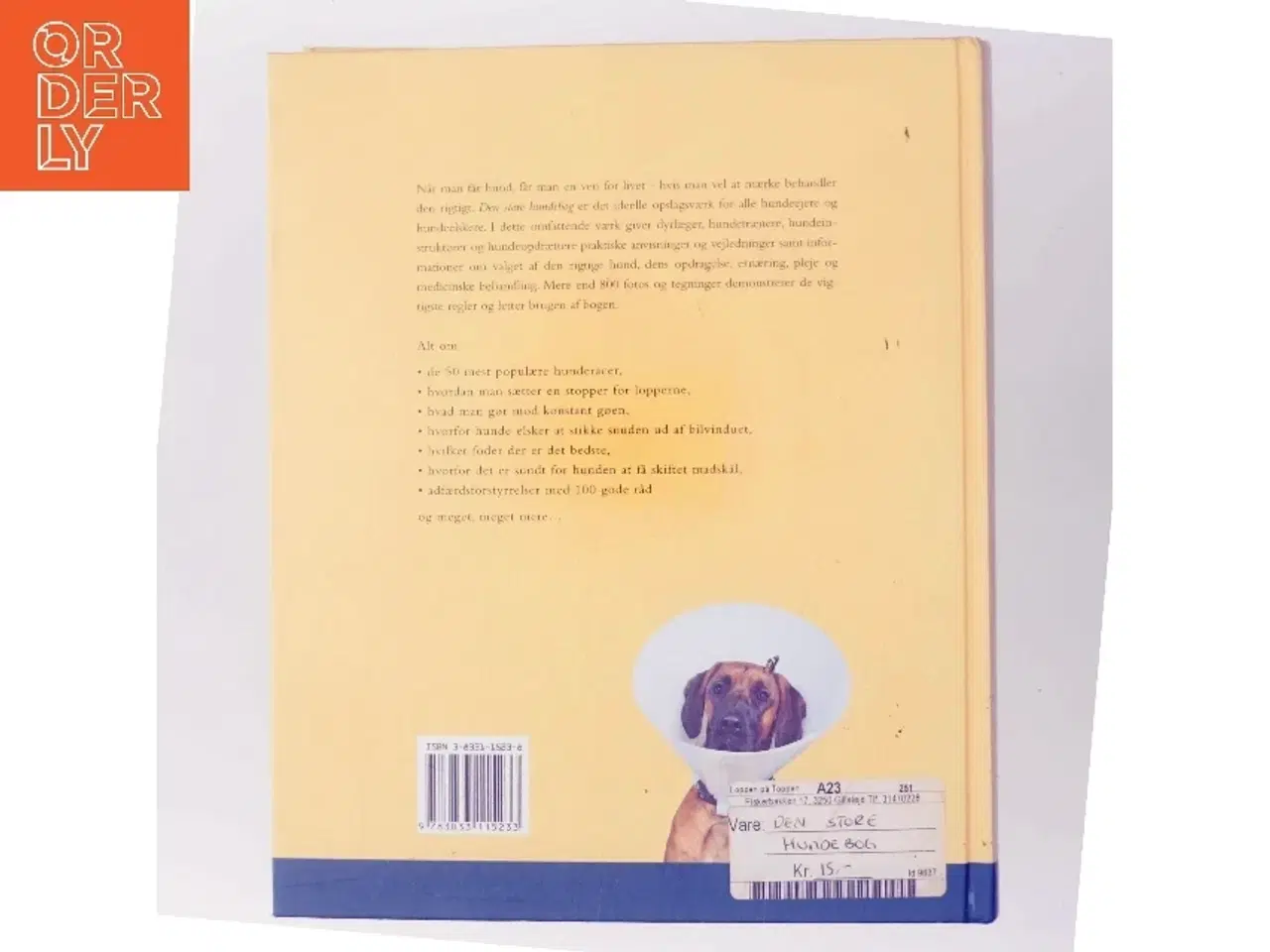 Billede 3 - Den store hundebog : pleje, sundhed og opdragelse, træning, ernæring og førstehjælp (Bog)