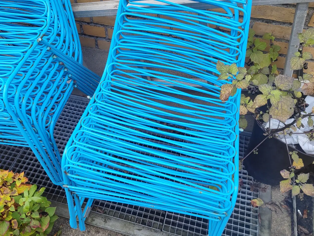 Billede 2 - Blå pulverlakeret udendørs stole 