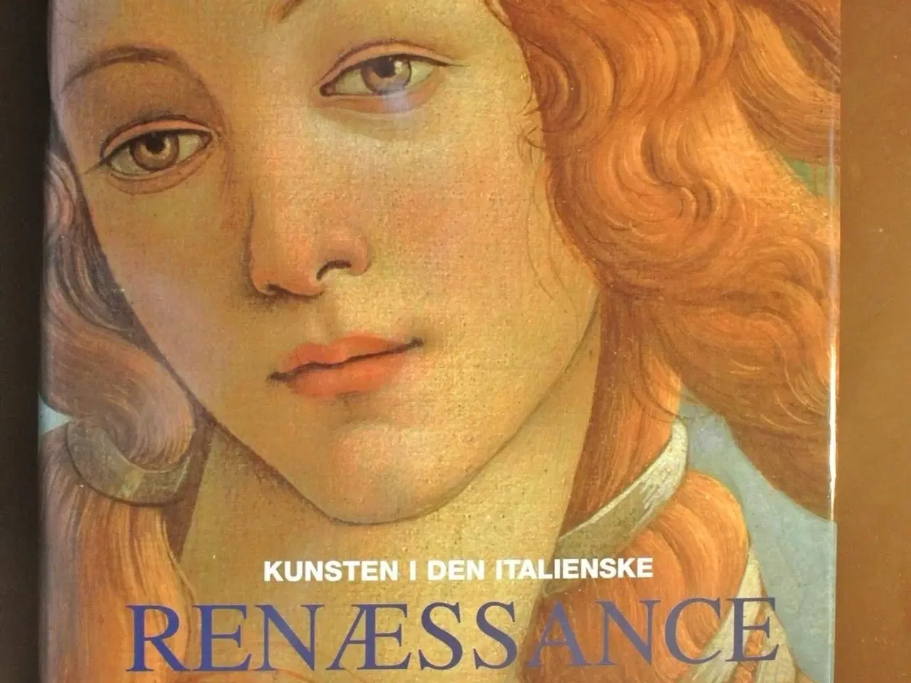 Billede 1 - kunsten i den italienske renæssance, af ralf toman