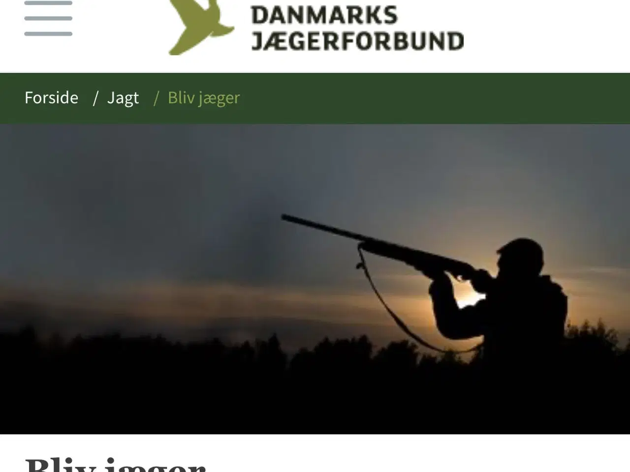 Billede 1 - Jagt udstyr fra dødsbo eller bare i overskud