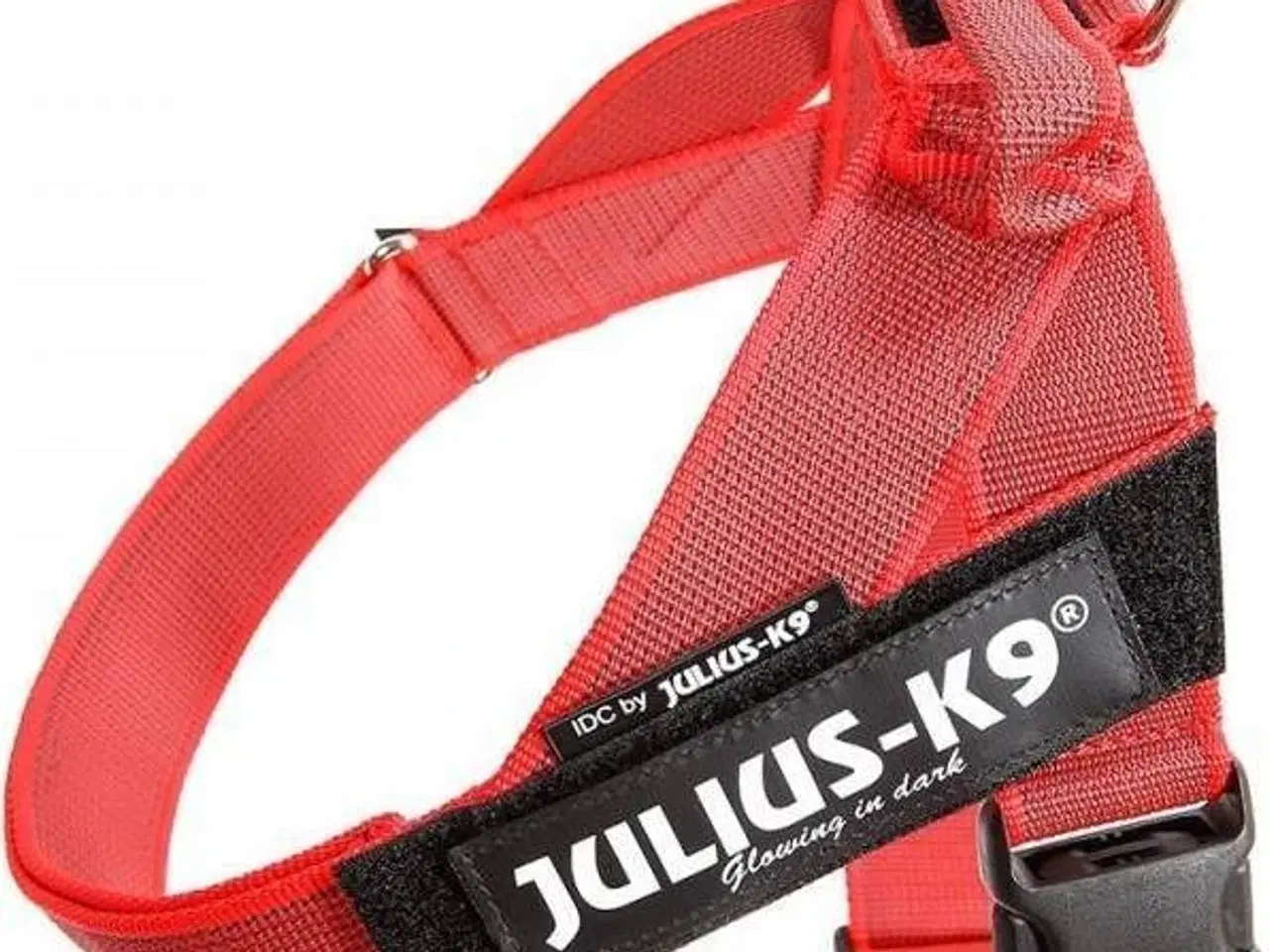 Billede 8 - Masser af ting til både den lille og store hund