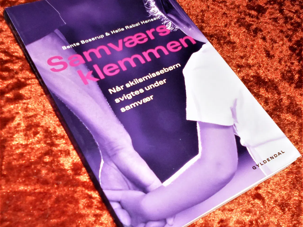 Billede 1 - Samværsklemmen, Bente Boserup, Helle Rabøl
