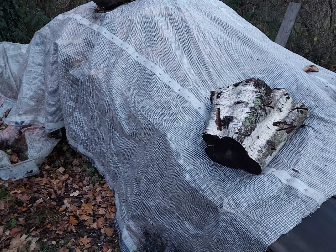 Billede 2 - Brænde blandet løv