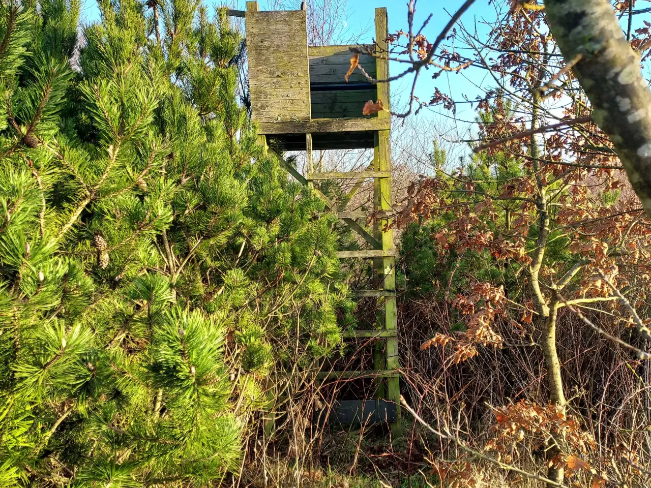 Billede 1 - Skydetårn 