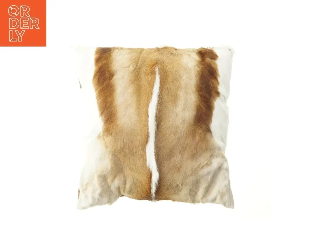 Billede 1 - Pude med dyremotiv (str. 43x43 cm)