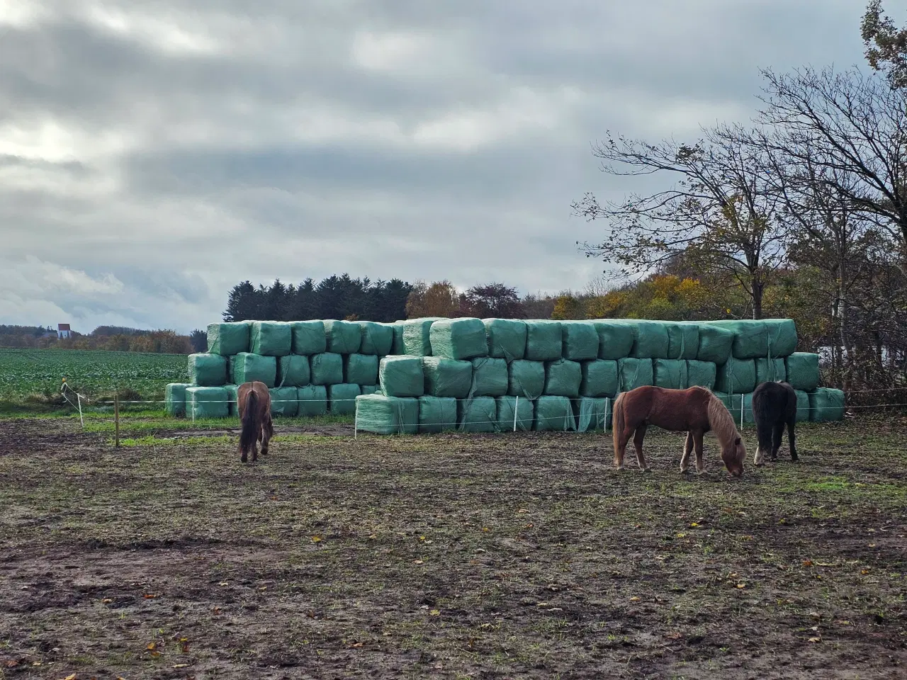 Billede 1 - Wrap hø til heste 