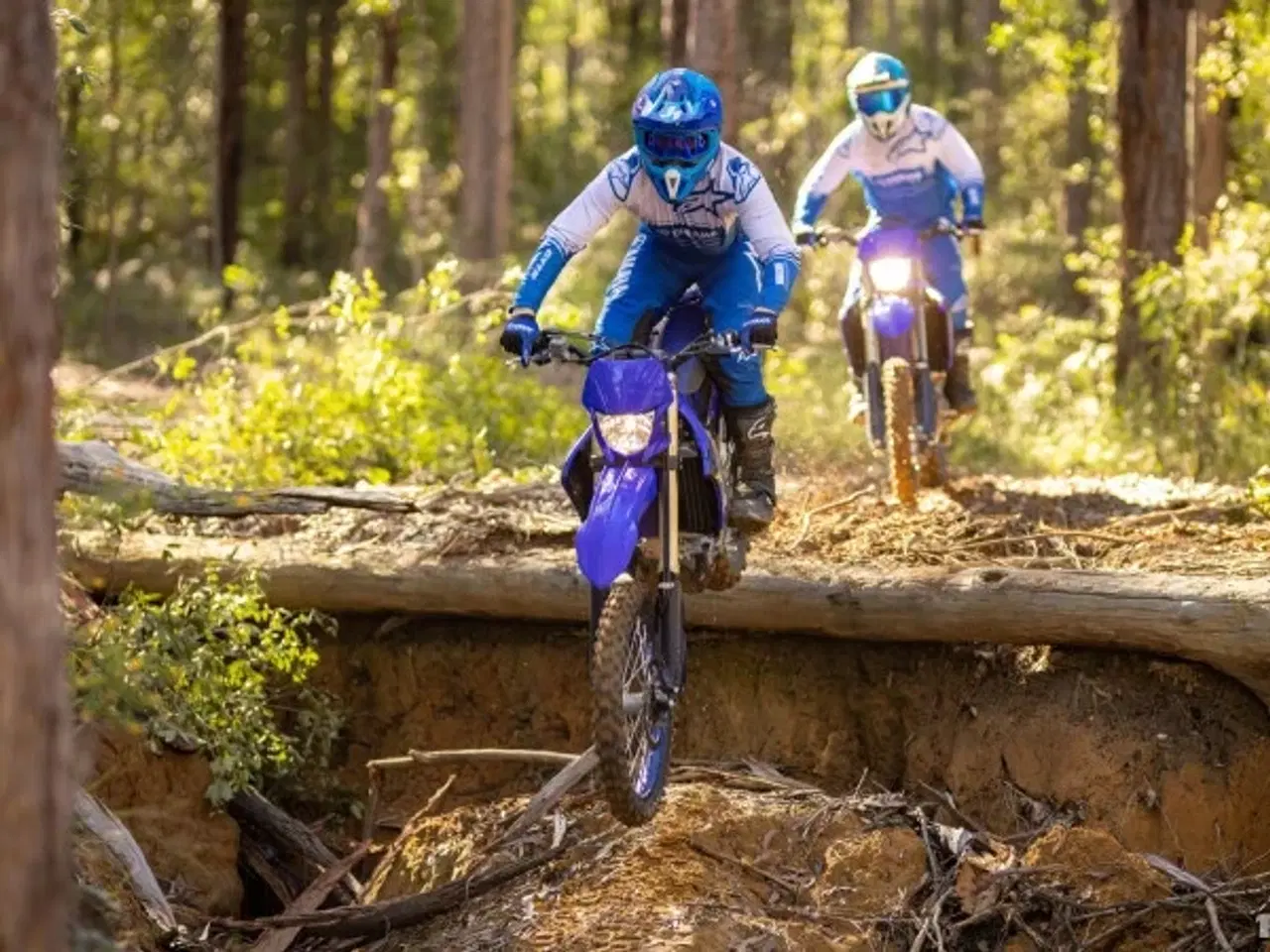 Billede 6 - Yamaha WR 450 F
