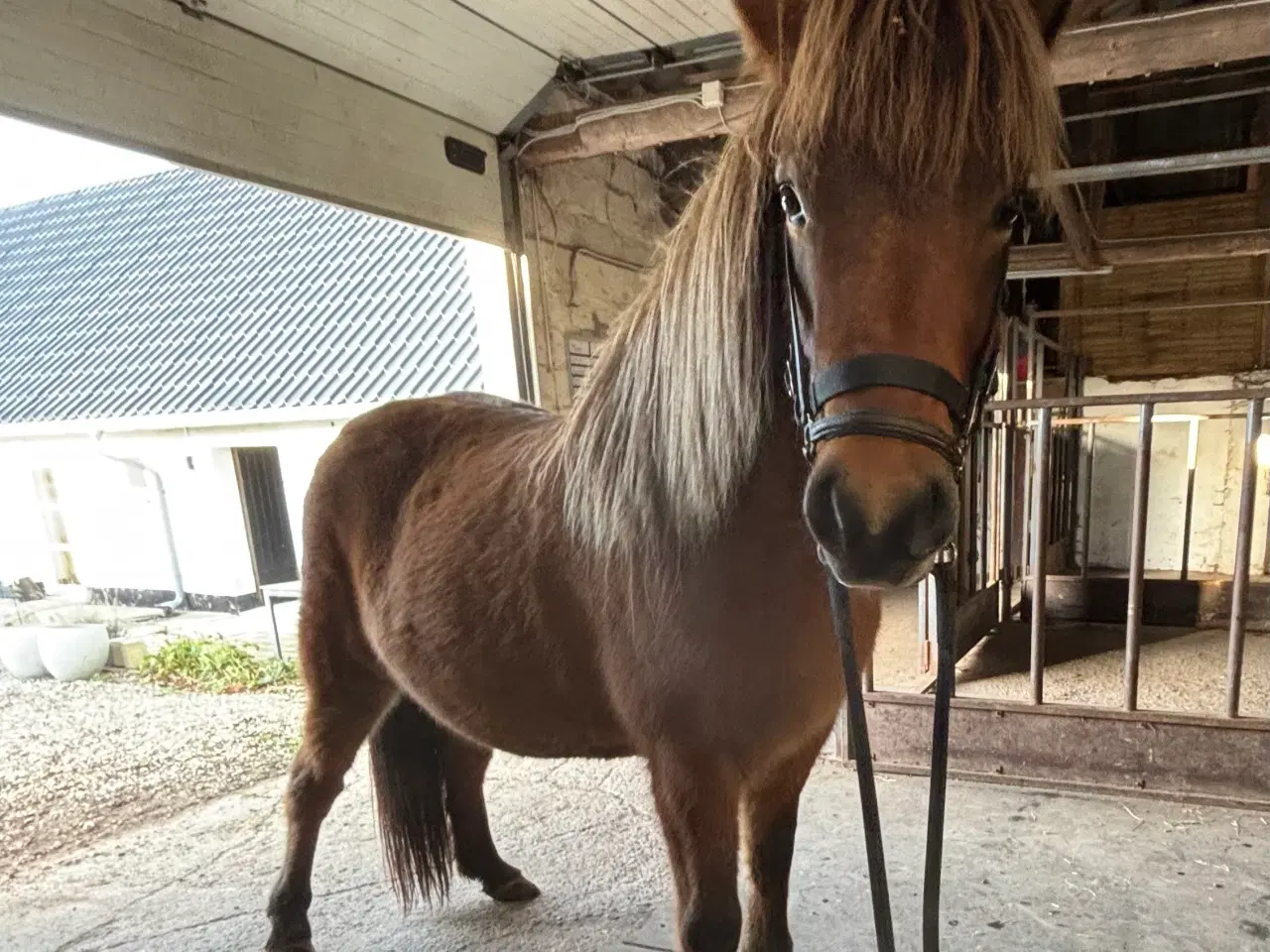 Billede 3 - Spot pris