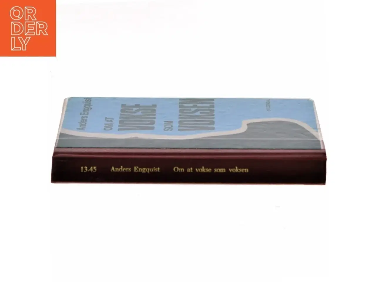 Billede 2 - Om at vokse som voksen af Anders Engquist (Bog)