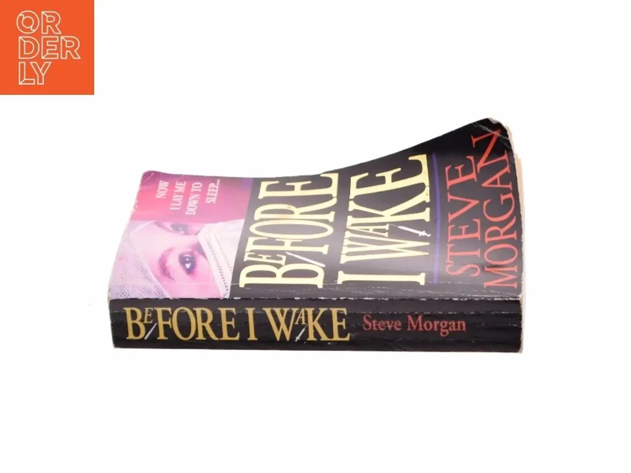Billede 2 - Before I Wake af Morgan, Steve (Bog)
