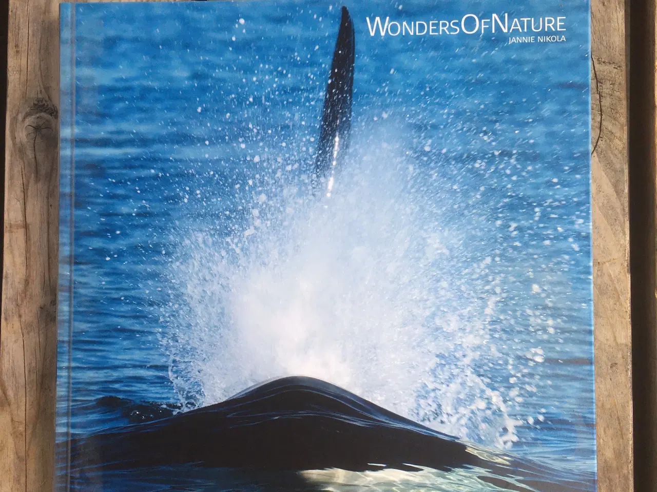 Billede 1 - Wonders of Nature, Jannie Nikola, Dansk og Engelsk