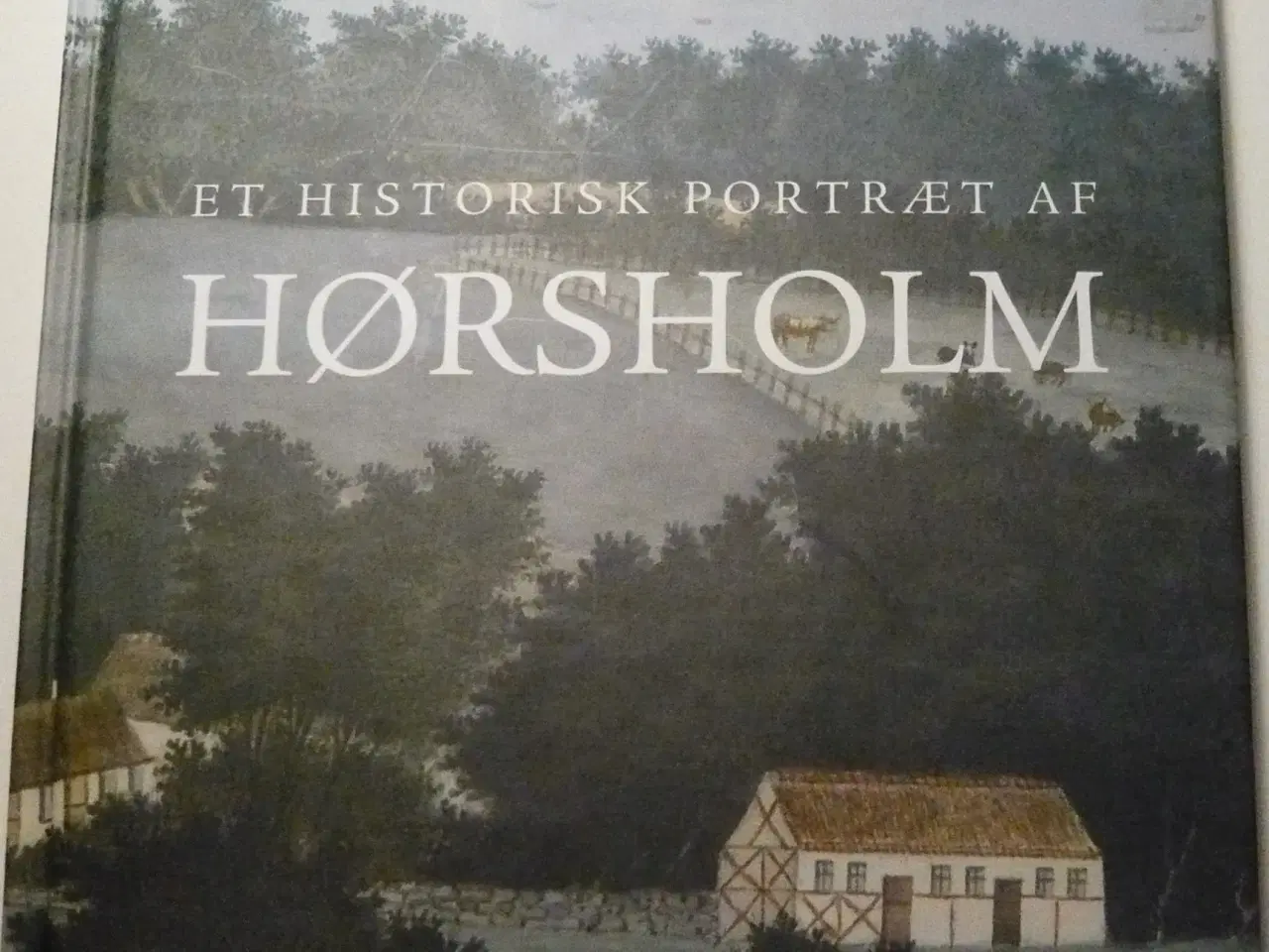 Billede 1 - Et historisk portræt af Hørsholm 