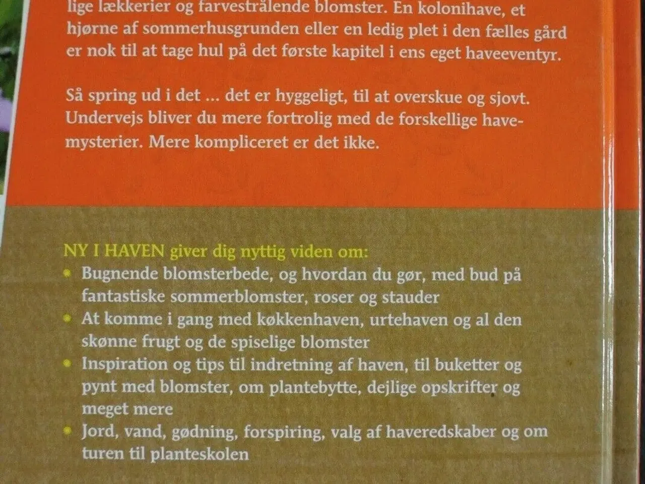 Billede 3 - ny i haven - fra drøm til virkelighed, af karina d