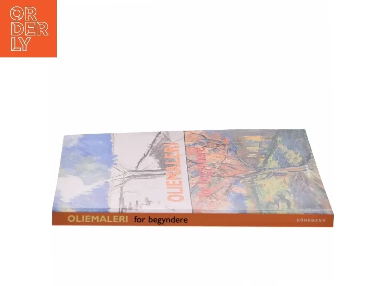 Billede 2 - Oliemaling for begyndere af Ram&#243;n de Jes&#250;s Rodr&#237;guez Rodr&#237;guez (Bog)