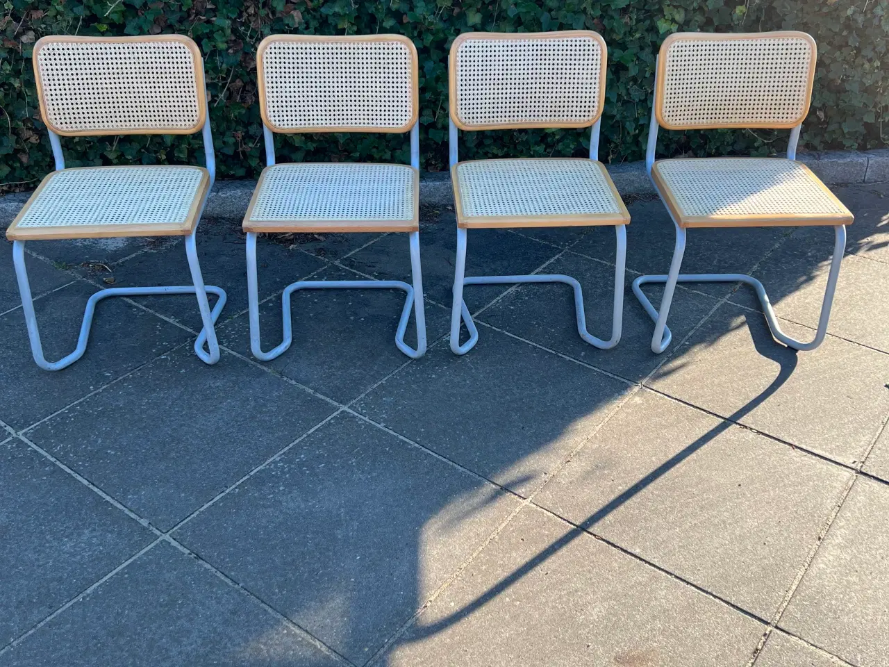 Billede 1 - Frisvinger med stable stel 