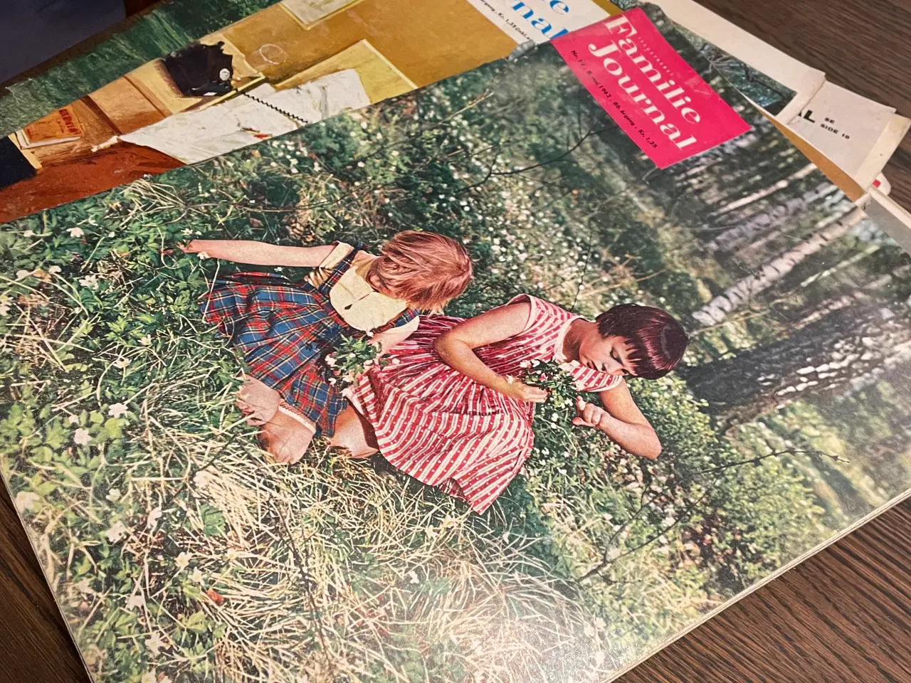 Billede 10 - Gamle blade sælges