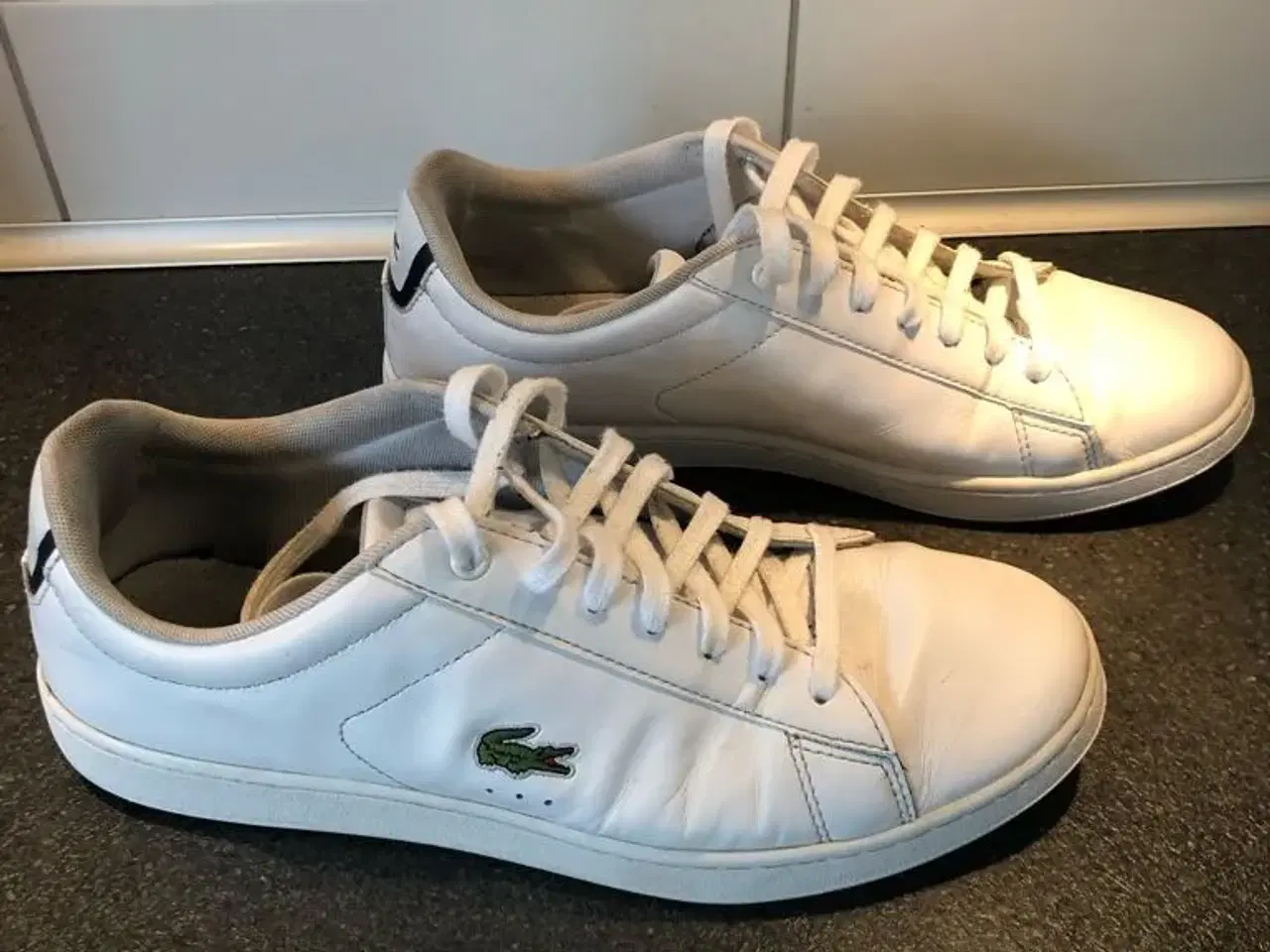 Billede 1 - Lacoste sneakers - Carnaby EVO BL1