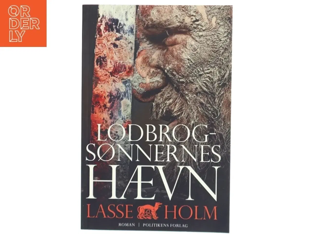 Billede 1 - Lodbrogsønnernes hævn : roman af Lasse Holm (f. 1968) (Bog)