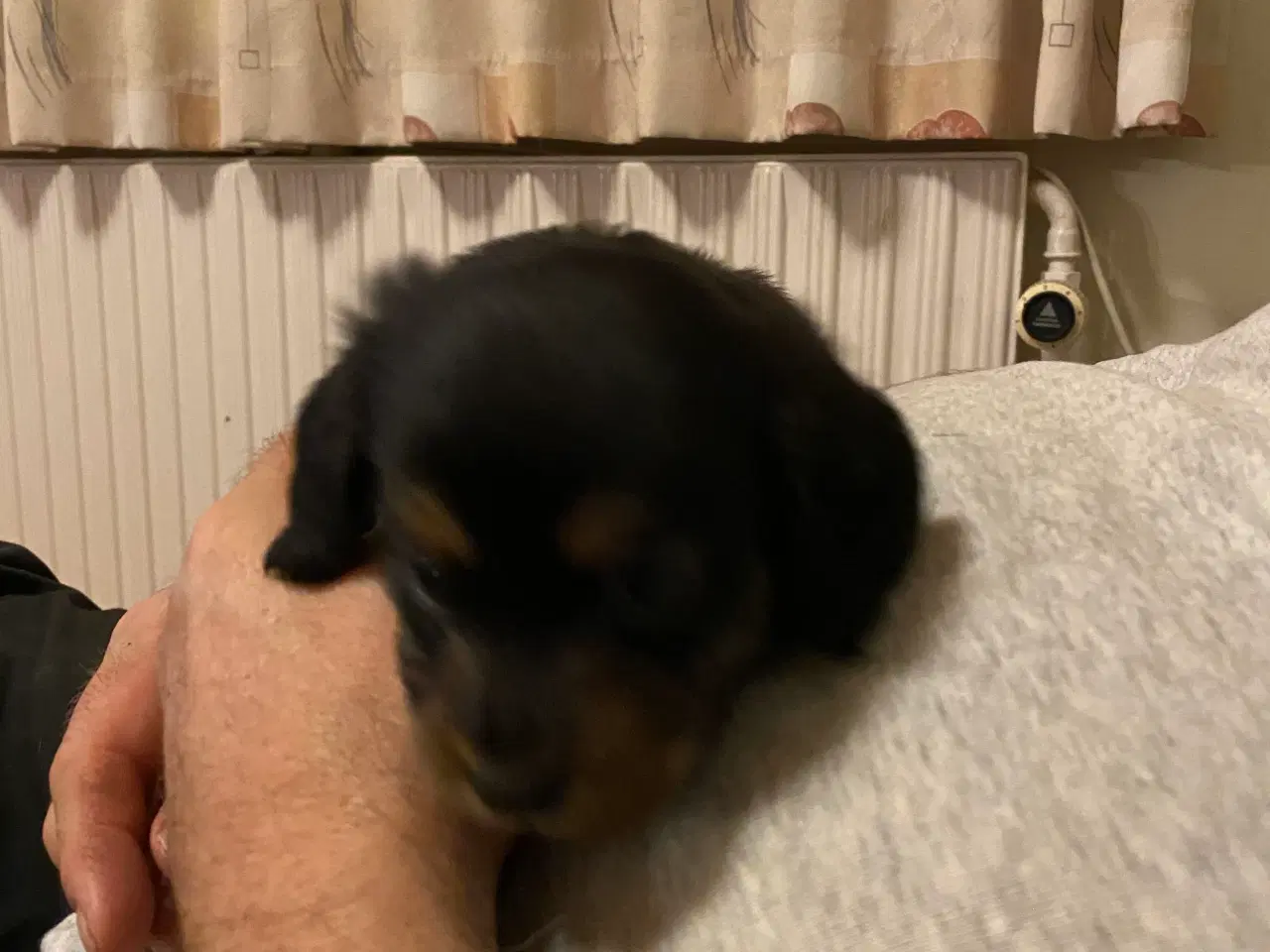 Billede 4 - 1 lille dreng tilbage 