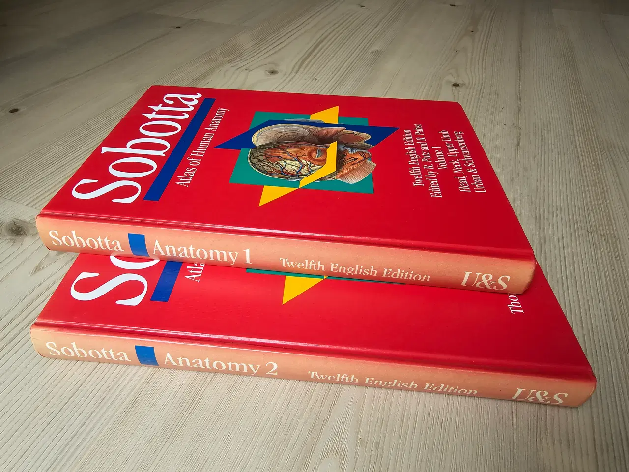 Billede 3 - Sobotta Atlas of Human Anatomy Medicin og sundhed