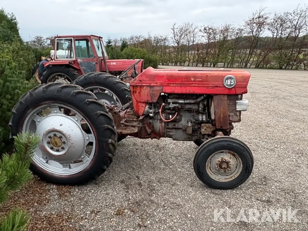 Billede 4 - Traktor Massey Ferguson 165