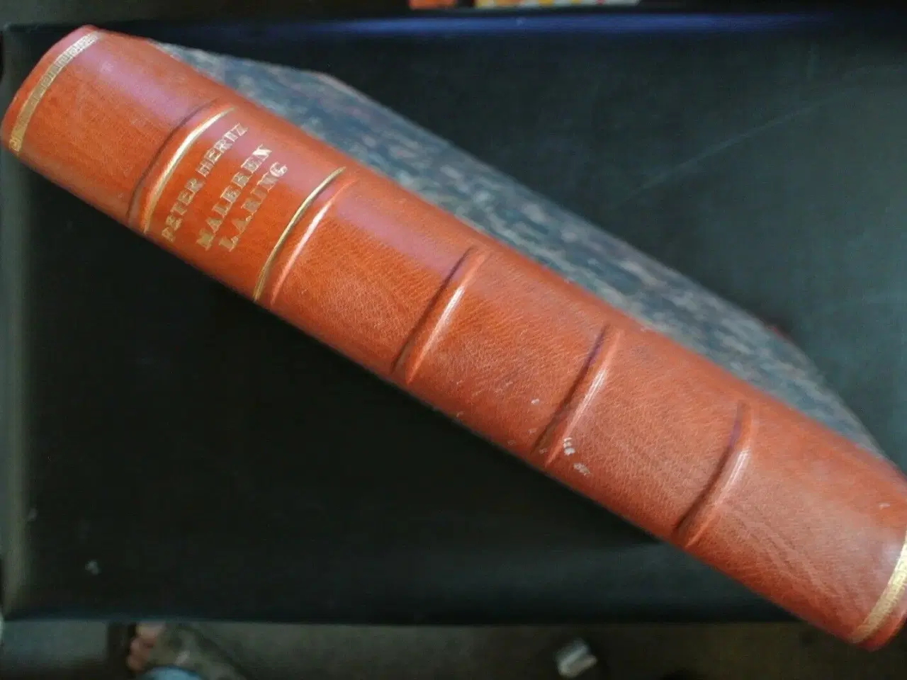 Billede 1 - maleren l. a. ring 1854-1933, af peter hertz, emne