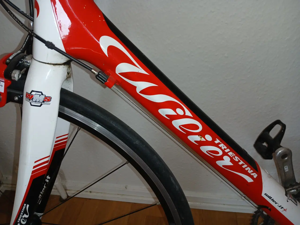 Billede 2 - Wiener triestina resercykler 