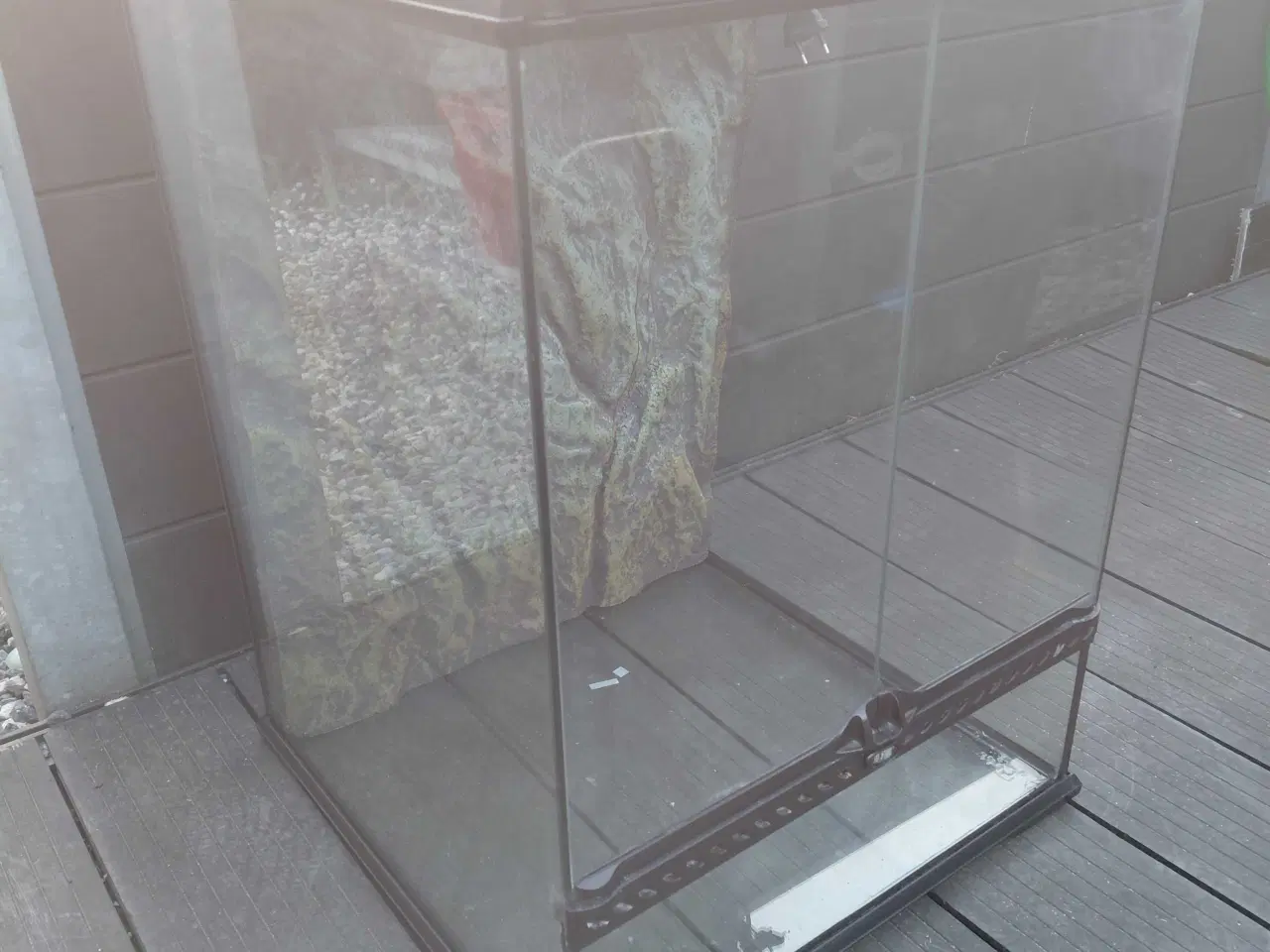 Billede 2 - Terrarium 