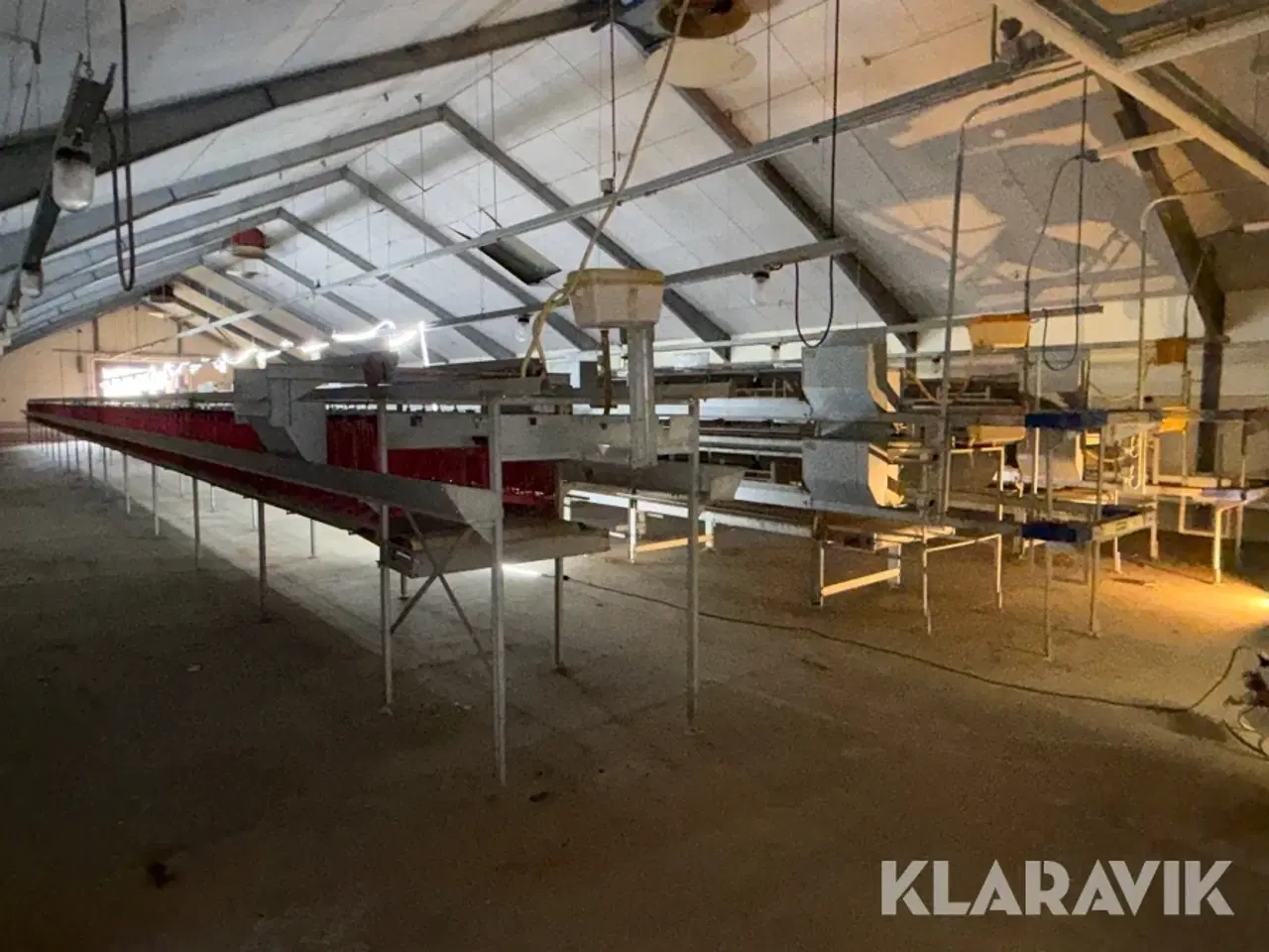 Billede 1 - Produktionslinje Big Dutchman + Landmeco æglægger system