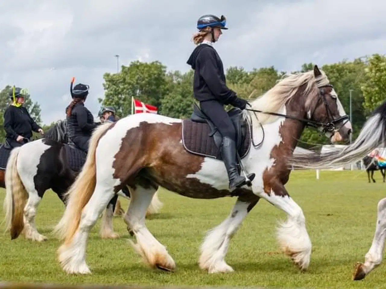 Billede 3 - Smuk tinker hoppe 