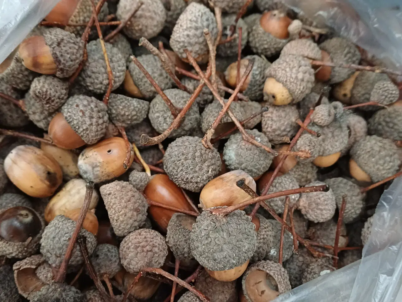 Billede 8 - Dekorationsmateriale til krukker, kranse mm.