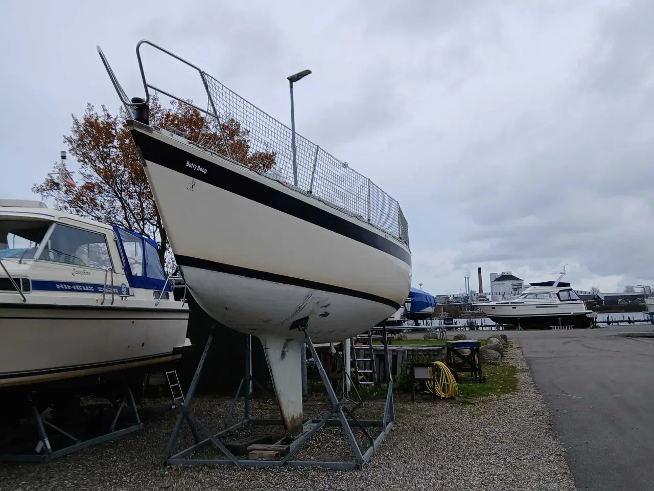 Billede 2 - Schamrock club raser 30